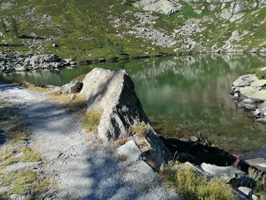 Chalet Del Paese Incantato Moncenisio Dış mekan fotoğraf