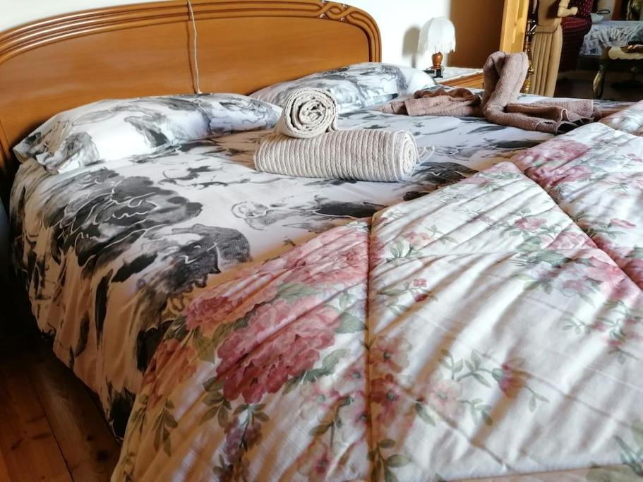 Chalet Del Paese Incantato Moncenisio Dış mekan fotoğraf